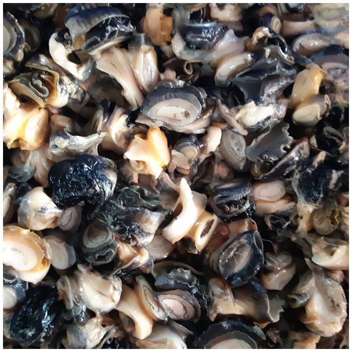 Water / Apple Snail Meat