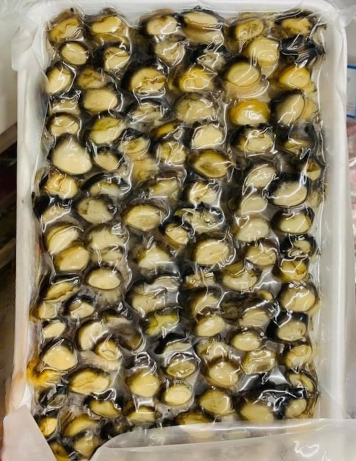 Water / Apple Snail Meat