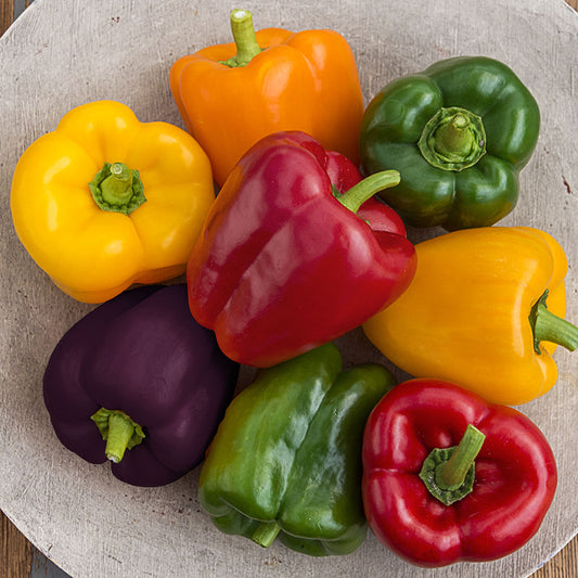 Bell Pepper - 1Lbs