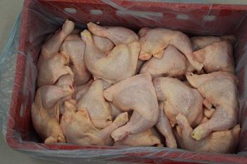 Frozen Mature Chicken Quarters | Hard Chicken