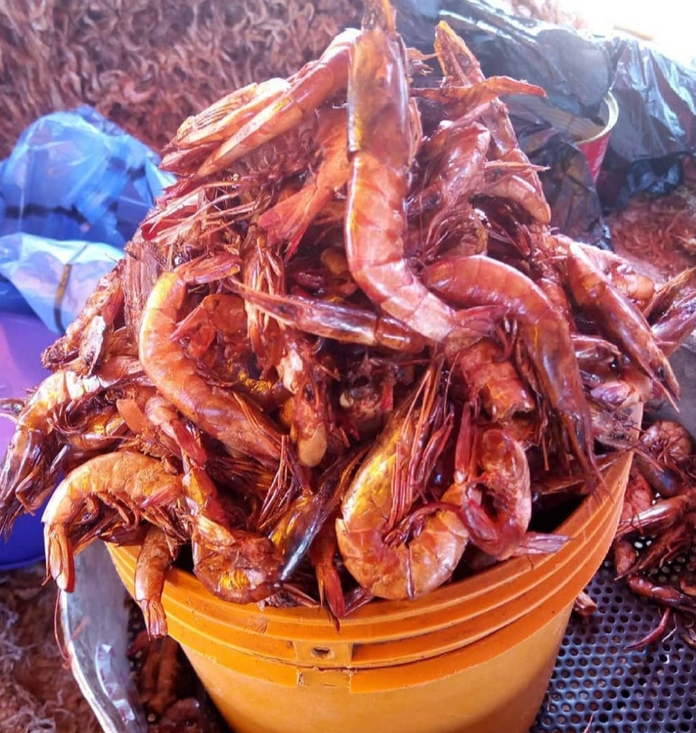 Dried Prawn / Oporo - Ground