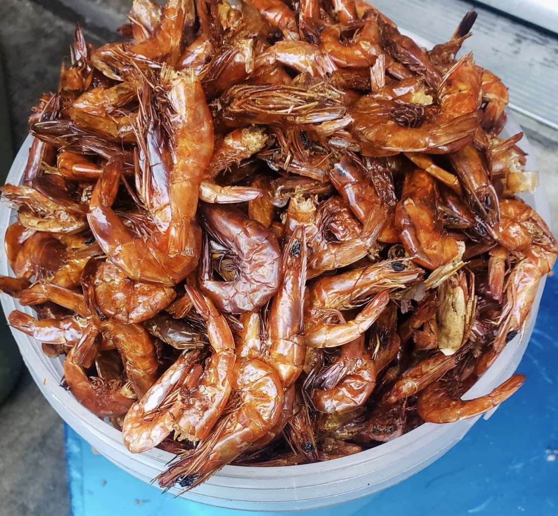 Dried Prawn / Oporo - Ground