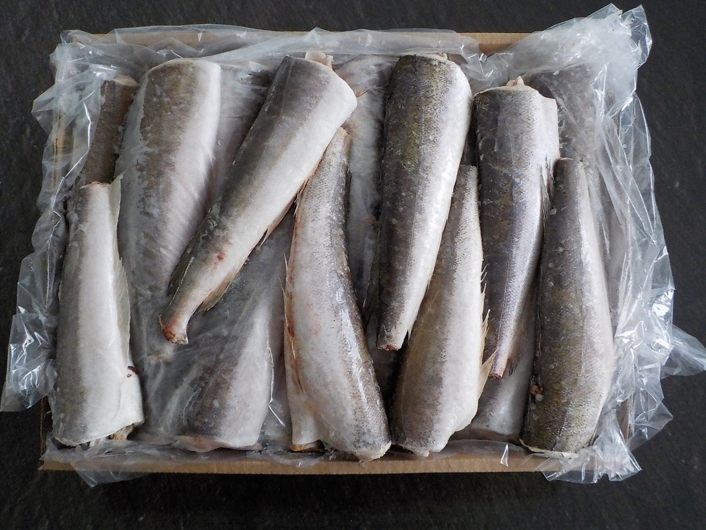 Frozen Hake / Whiting / Panla / Merluza Fish - Head-Off