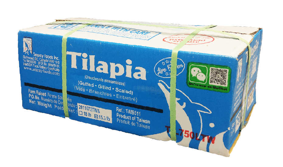 Frozen Tilapia Fish - Farmed