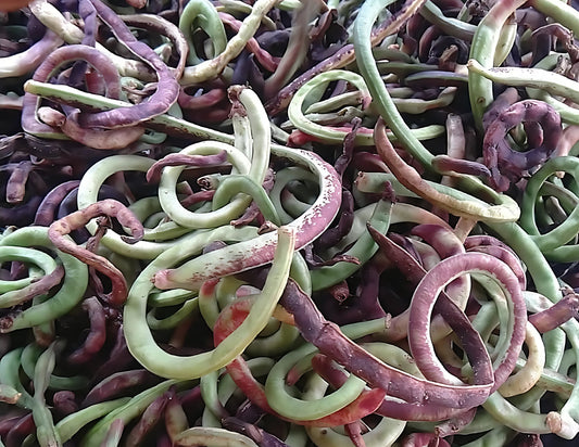 Beans - Black / Akidi