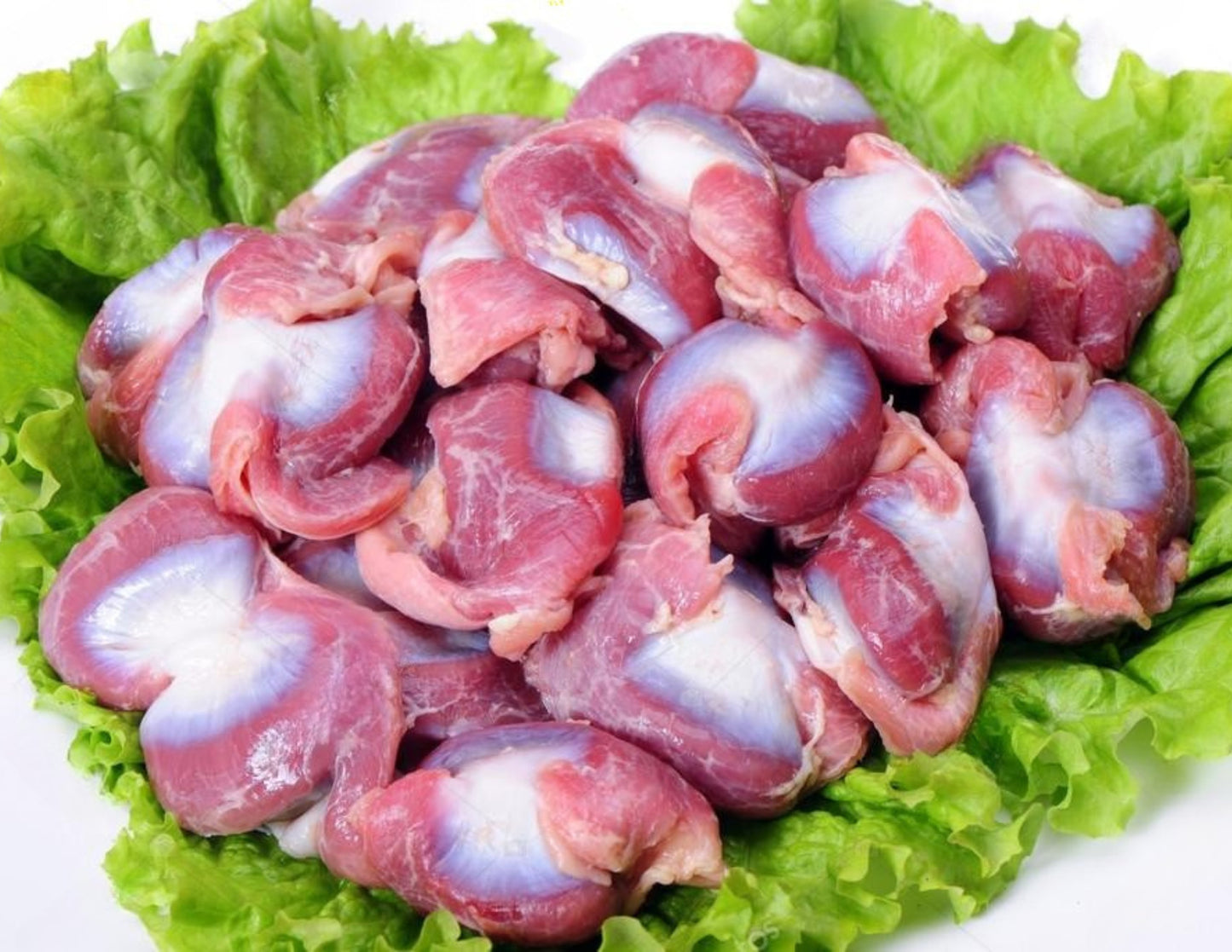 Frozen Chicken Gizzard