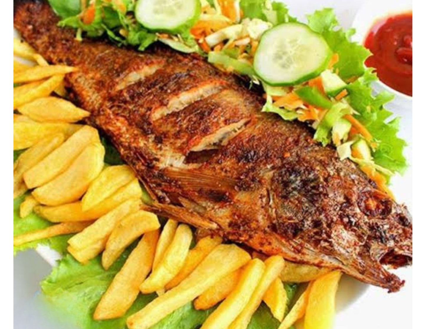 Croaker Fish - Head-Off