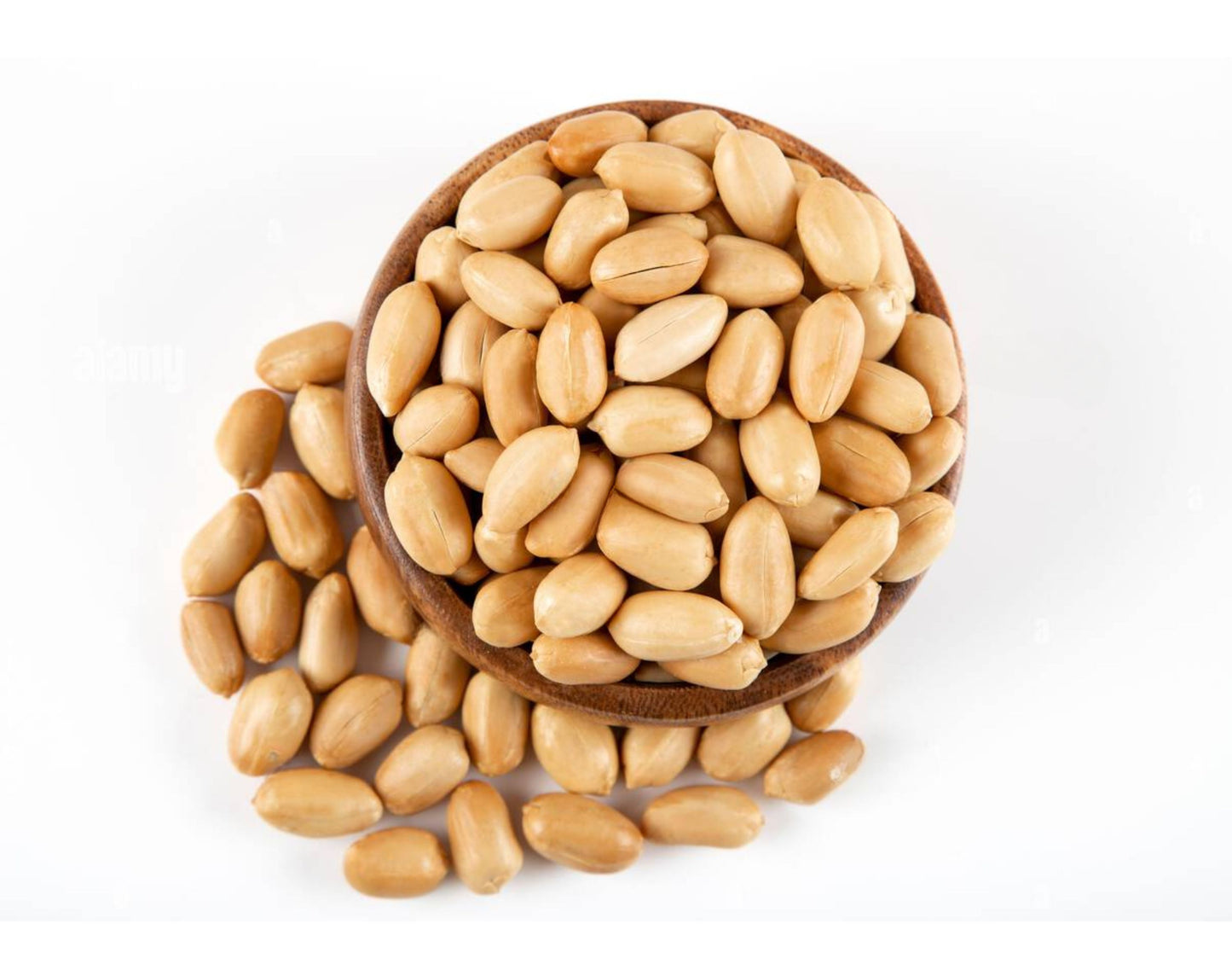 Groundnut - Peanut