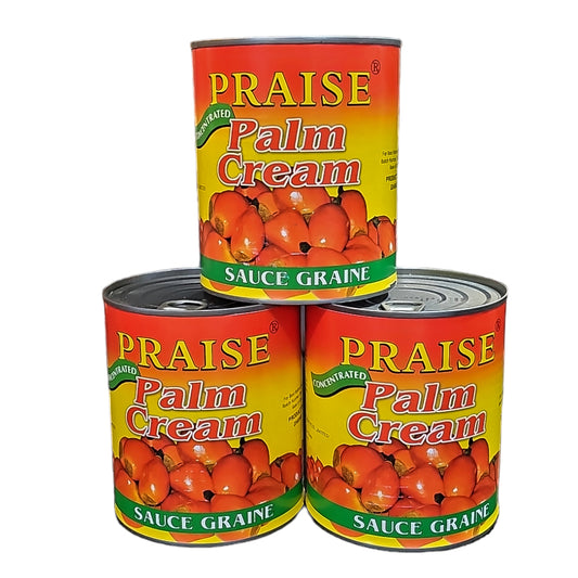 Palm Fruit Concentrate/ Paste / Cream / Banga – Praise