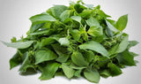 Dried Scent Leaves