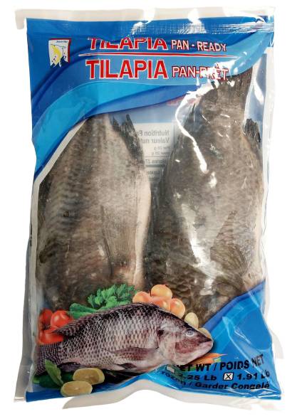 Frozen Tilapia Fish - Farmed
