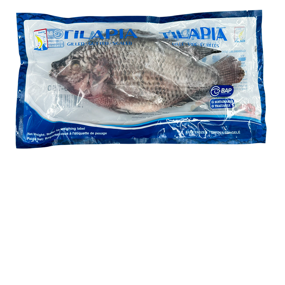 Frozen Tilapia Fish - Farmed