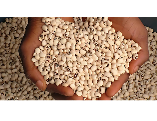 Beans – Black-Eyed / Iron Beans