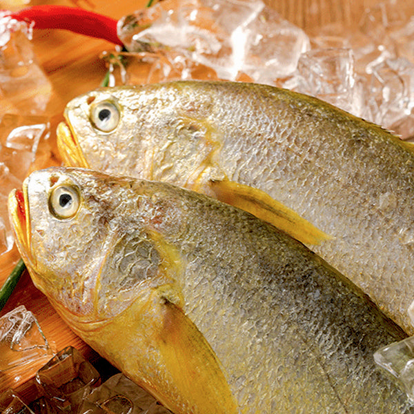 Frozen Yellow Croaker Fish (Head-On)