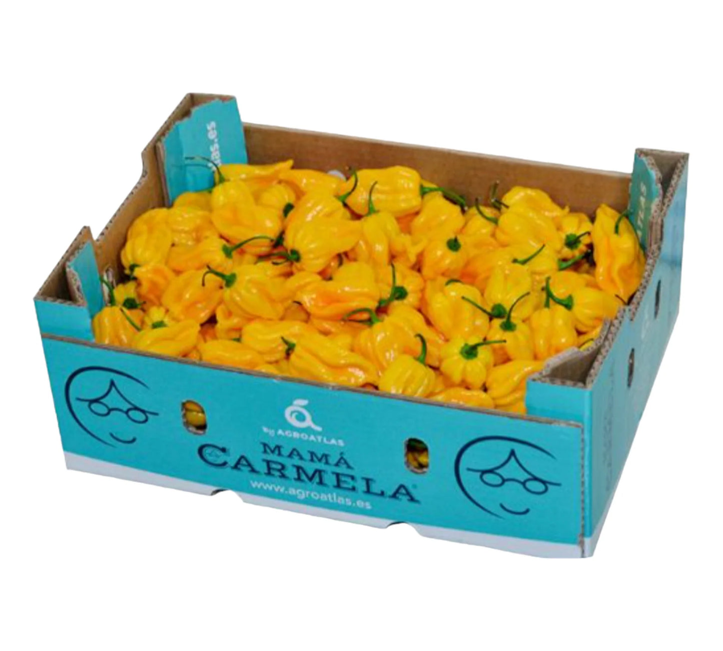 Habanero Pepper – Yellow