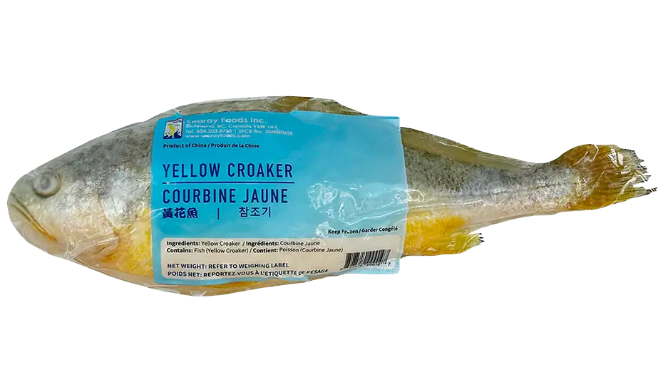 Frozen Yellow Croaker Fish (Head-On)