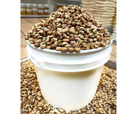 Beans - Kampala