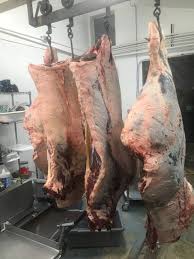 Burnt Beef Meat – Whole Cow