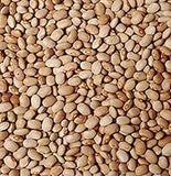 Beans - Drum / Brown