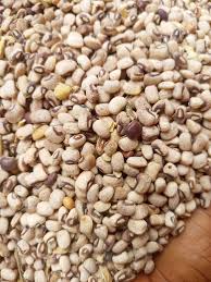 Beans – Oloka