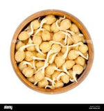 Sprouted Chickpea