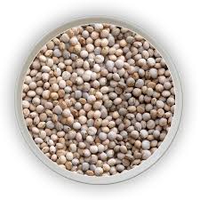 Beans – White Pigeon Pea / Fio-Fio / Gungo / Tuwar