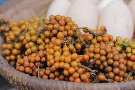 Uziza / Ashanti Pepper