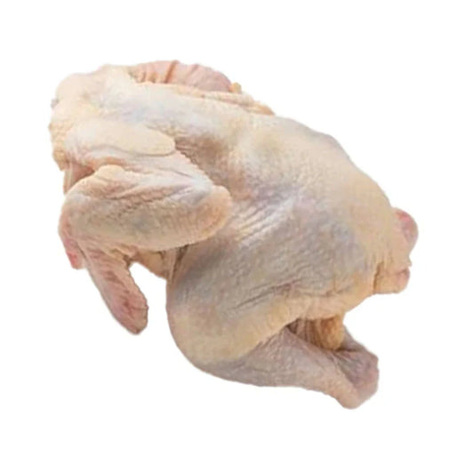Chicken - Stewing Hen / Mature Fowl (Like Old Layers) - Whole