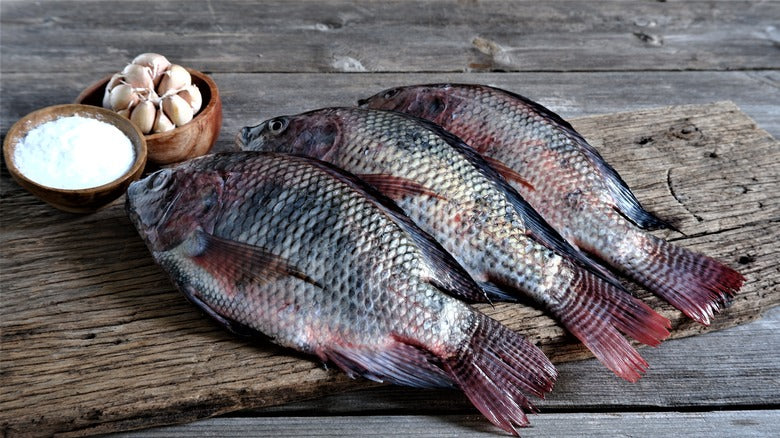Frozen Tilapia / Koobi Fish - Wild Caught