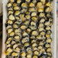 Water / Apple Snail Meat