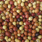 Bambara  Beans / Groundnut  [Jugo / Congo / Njugu Mawe] - 3Lbs