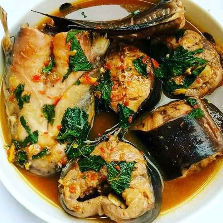 Frozen Catfish - Head-On