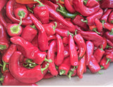 Crimson Pepper | Shombo