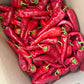 Crimson Pepper | Shombo