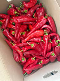 Crimson Pepper | Shombo