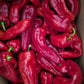 Crimson Pepper | Shombo