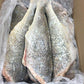 Croaker Fish - Head-Off