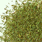 Lion – Thyme Leaves