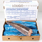 Frozen Hake / Whiting / Panla / Merluza Fish - Head-Off