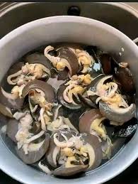 Snail - Frozen African Snail Meat