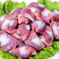 Frozen Chicken Gizzard