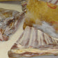 Premium Meat - Burnt Skin Goat Meat Chunks