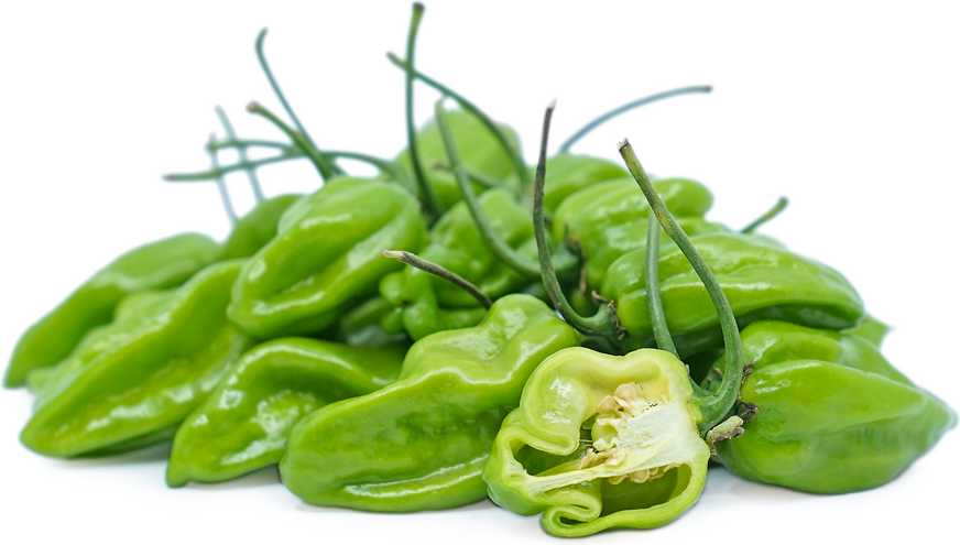 Habanero Pepper - Green