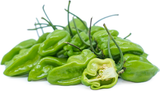 Habanero Pepper - Green