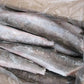 Frozen Hake / Whiting / Panla / Merluza Fish - Head-Off