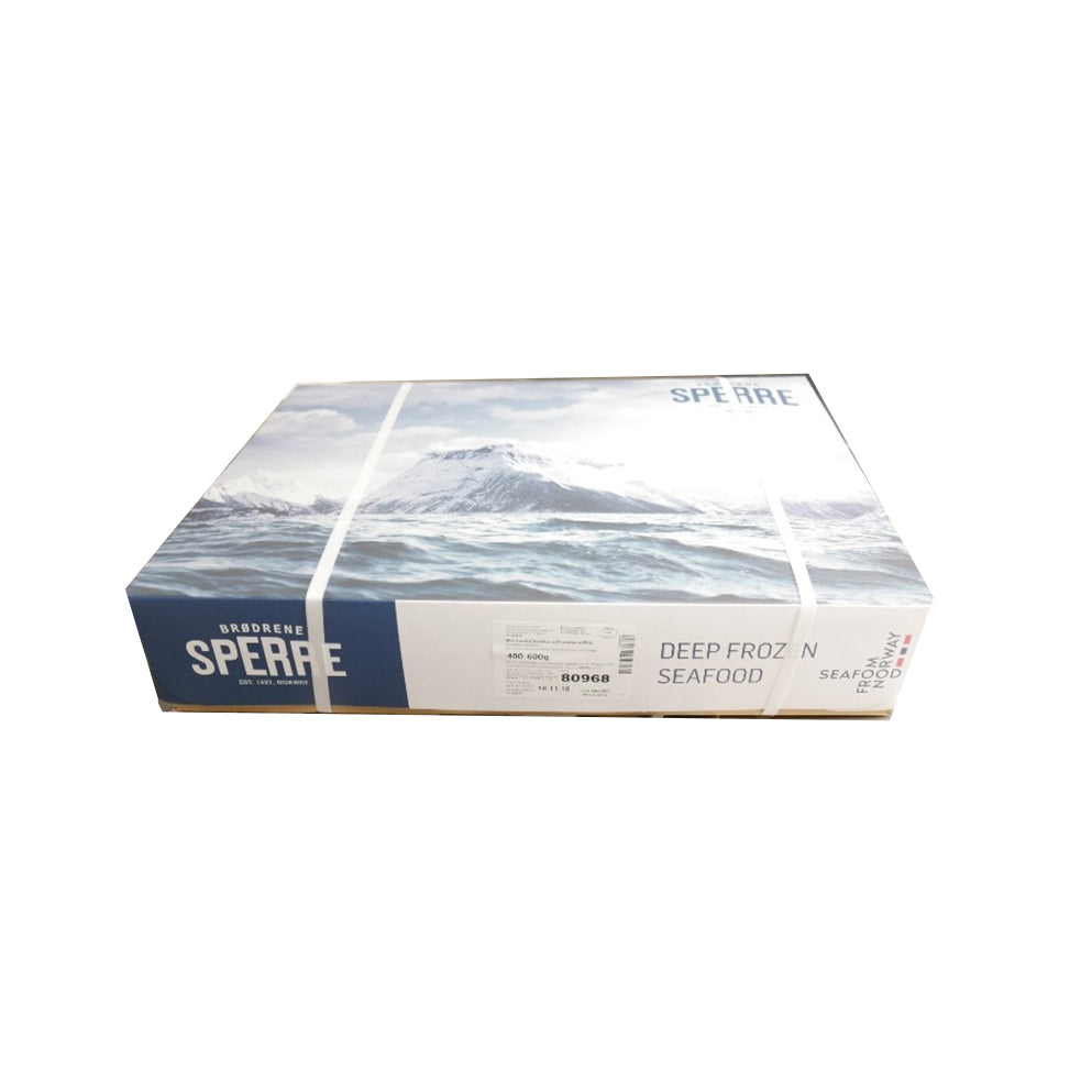 Frozen Mackerel  / Titus / Scumbia Fish / Ghanian Salmon