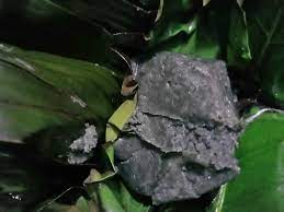 Fresh Ogiri