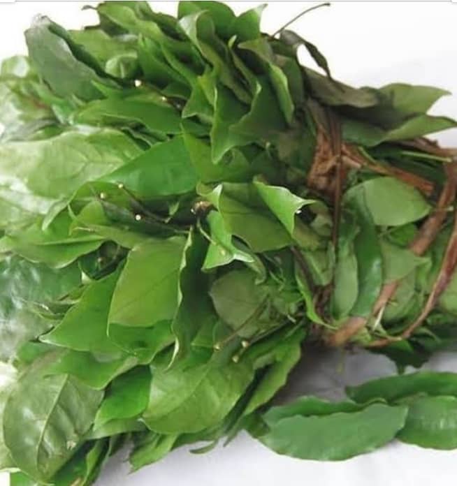 Dried Ukazi Leaves