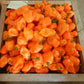 Habanero Pepper - Orange