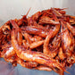 Dried Prawn I Oporo